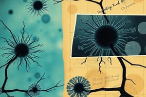 Eukaryotic Cells Overview