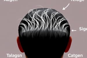 Hair Growth Cycle: Anagen, Catagen, and Telogen Phases