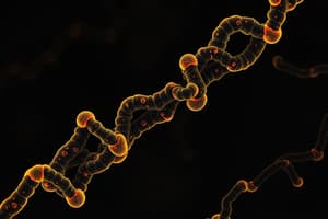 Human Chromosome Structure and Chromatin Types