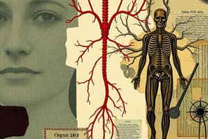 Endocrine vs Nervous Systems Overview