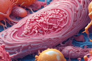 Connective Tissue Classification Quiz