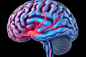 Cerebral Perfusion Pressure (CPP)