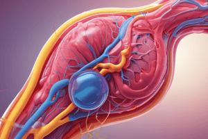 Nephron Structure and Urine Analysis