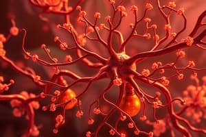 Cys-loop Receptors and Myasthenia Gravis