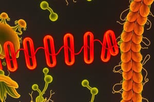 Lac-operon genregulering