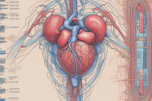 Sepsis & Shock