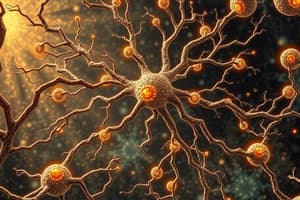 Neuron Doctrine and Its Pioneers