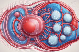 Renin-Angiotensin-Aldosterone System in Blood Pressure Regulation