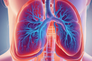 Pulmonary Function Testing and Diagnostic Procedures Quiz