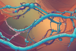 central dogma