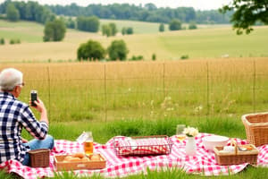 Picnic in the Countryside