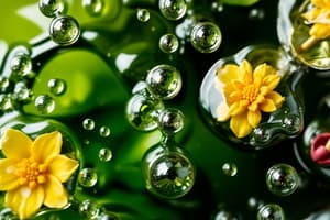 Aromatic Waters Overview