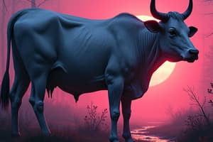 Animal Husbandry Principles and Guides