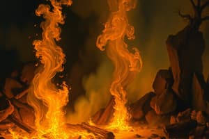 Types and Differences of Combustion