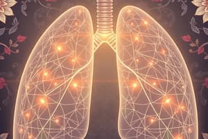 Human Respiratory System Overview