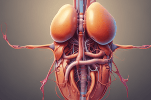 Urinary System: Physical Characteristics of Urine (Chapter 25.1)