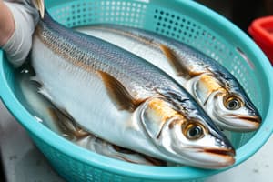 Quality of Fishery Products