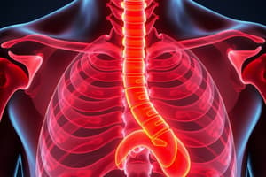 Hyperparathyroidism Overview