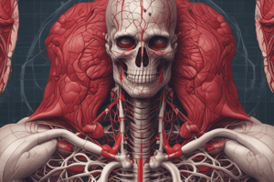 Circulatory System: The Heart