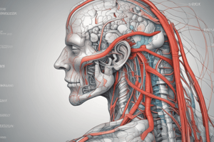 Muscle Physiology: Membrane Potential and Action Potential