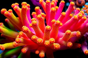 Biology of Sponges Quiz