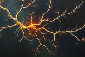 Neurons: Structure, Function, and Signaling