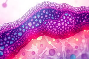 Epithelial Tissue Flashcards