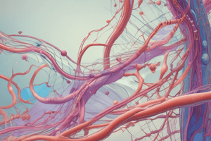 Collagen Synthesis and Modification