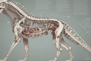 Axial Structures