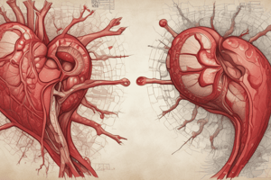 Atherosclerotic Plaque Morphology