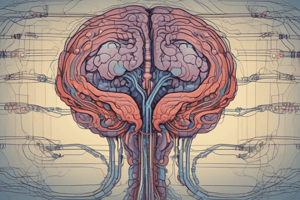 Neurotransmitters and Empathy Circuit Abnormalities Quiz