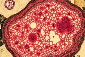 Tissue Types and Epithelial Characteristics