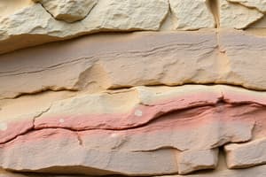 Sedimentary Rocks and Geological Processes