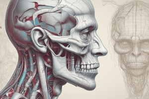 Clinical Anatomy Chapter 1