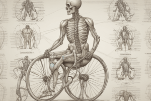 Dermatomes and Spinal Cord Injuries