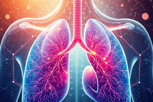 Respiratory System Overview