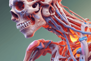 Understanding Musculoskeletal Infections and Inflammatory Disorders Quiz