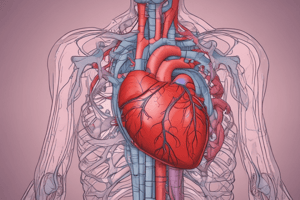 Heart Function and Cardiac Output