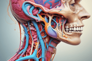 Head & Neck Embryology with Dr. Sultan Al-Zyoud