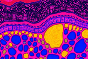 Epithelial Tissue Structure and Function