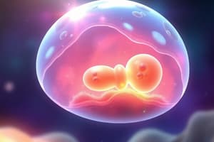 Embryology Basics Quiz