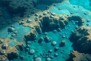 Features of the Ocean Floor Quiz