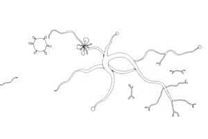 Fisiologia Vascolare e Proteine G (Fisiologia 33)