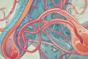 Nephron Functions and Structure