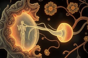 Reproductive Biology: Ovum and Sperm Dynamics