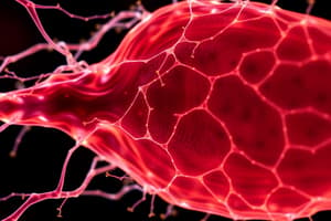 Cytoskeleton Overview Quiz