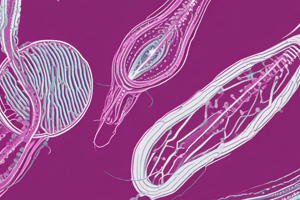 Modul Praktikum Parasitologi Blok 12