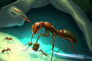 Ant Surgeries and Survival