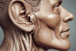 Ear Microanatomy