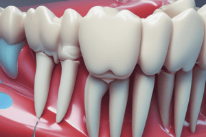 Enamel Structure and Function in Dentistry